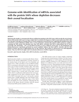 Genome-Wide Identification of Mrnas Associated with the Protein SMN Whose Depletion Decreases Their Axonal Localization