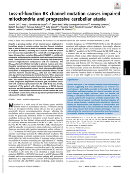 Loss-Of-Function BK Channel Mutation Causes Impaired Mitochondria and Progressive Cerebellar Ataxia