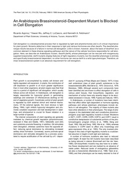 An Arabidopsis Brassinosteroid-Dependent Mutant Is Blocked in Cell Elongation