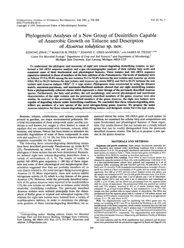 Phylogenetic Analyses of a New Group of Denitrifiers Capable of Anaerobic Growth on Toluene and Description of Azoarcus Tolulyticus Sp