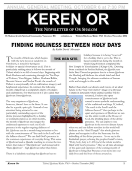 FINDING HOLINESS BETWEEN HOLY DAYS by Rabbi David Mivasair