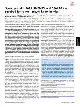 Sperm Proteins SOF1, TMEM95, and SPACA6 Are Required for Sperm−Oocyte Fusion in Mice