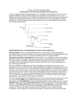 Seed Plant Synapomorphies Introduction to Non-Flowering Seed Plants (Gymnosperms) a Seed Is a Highly Modified Megasporangium, So Seed Plants Are Heterosporous