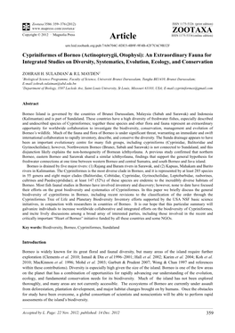 Cypriniformes of Borneo (Actinopterygii, Otophysi): an Extraordinary Fauna for Integrated Studies on Diversity, Systematics, Evolution, Ecology, and Conservation