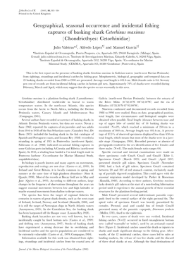 Geographical, Seasonal Occurrence and Incidental ¢Shing Captures Of