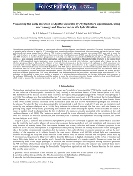 Visualizing the Early Infection of Agathis Australis by Phytophthora Agathidicida, Using Microscopy and ﬂuorescent in Situ Hybridization