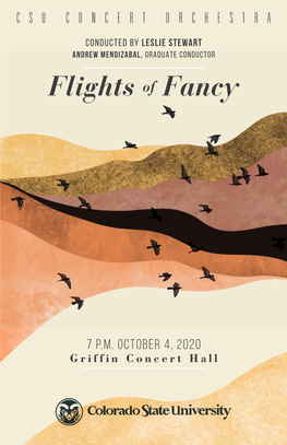 Flights of Fancy