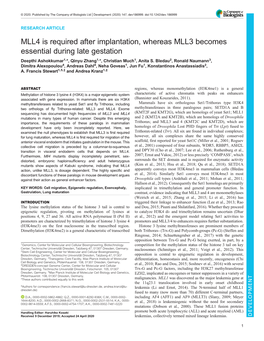 MLL4 Is Required After Implantation, Whereas MLL3 Becomes Essential During Late Gestation Deepthi Ashokkumar1,*, Qinyu Zhang1,*, Christian Much1, Anita S