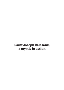 Saint Joseph Calasanz, a Mystic in Action