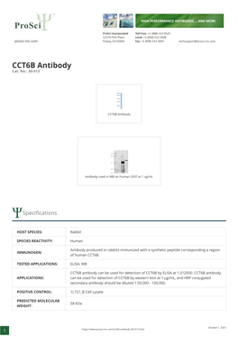 CCT6B Antibody Cat