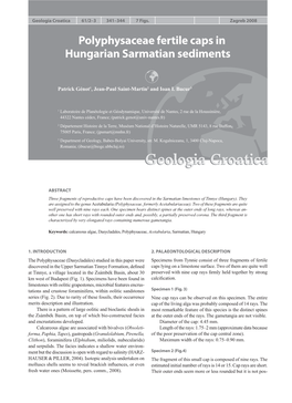 Polyphysaceae Fertile Caps in Hungarian Sarmatian Sediments 