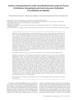 Surface Swimming Behavior of the Curculionid Ochetina Uniformispascoe