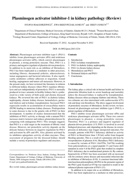 Plasminogen Activator Inhibitor-1 in Kidney Pathology (Review)