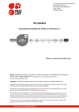 Tor Tambra.Pdf