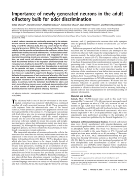 Importance of Newly Generated Neurons in the Adult Olfactory Bulb for Odor Discrimination