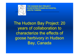 20 Years of Collaboration to Characterize the Effects of Goose Herbivory in Hudson Bay, Canada