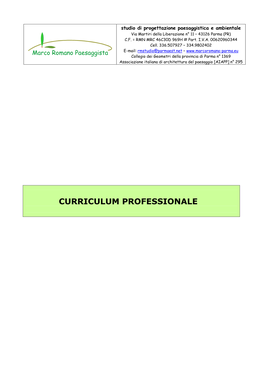 Curriculum Professionale