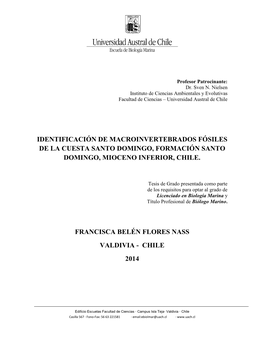 Identificación De Macroinvertebrados Fósiles De La Cuesta Santo Domingo, Formación Santo Domingo, Mioceno Inferior, Chile