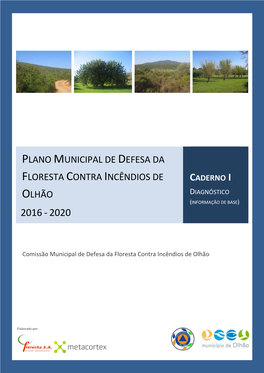 Plano Municipal De Defesa Da Floresta Contra Incêndios De Caderno I Olhão Diagnóstico (Informação De Base) 2016 - 2020