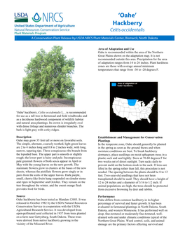 (Oahe' Hackberry, Celtis Occidentalis L.) Conservation Plant Release