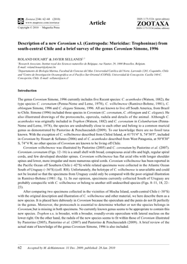 Zootaxa, Description of a New Coronium S.L