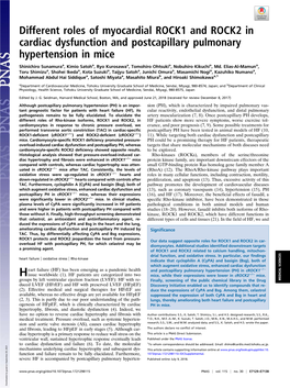 Different Roles of Myocardial ROCK1 and ROCK2 in Cardiac Dysfunction and Postcapillary Pulmonary Hypertension in Mice