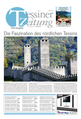 Die Schreinerei Im Tessin