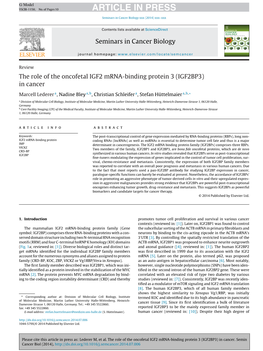 The Role of the Oncofetal IGF2 Mrna-Binding Protein 3 (IGF2BP3)