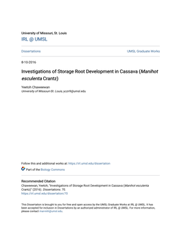 Investigations of Storage Root Development in Cassava (Manihot Esculenta Crantz)