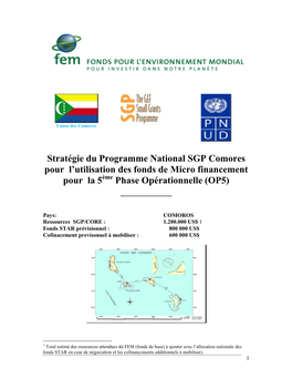 Strategy for Utilization of RAF Funds