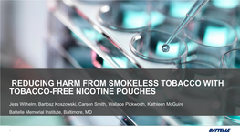 Reducing Harm from Smokeless Tobacco with Tobacco-Free Nicotine Pouches