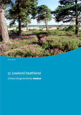 17. Lowland Heathland