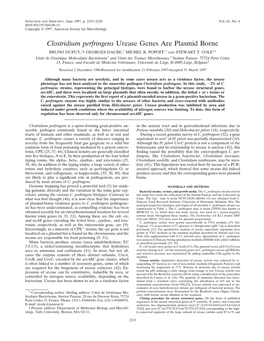 Clostridium Perfringens Urease Genes Are Plasmid Borne