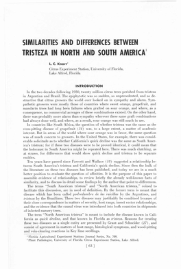 Similarities and Differences Between Tristeza in North and South America1