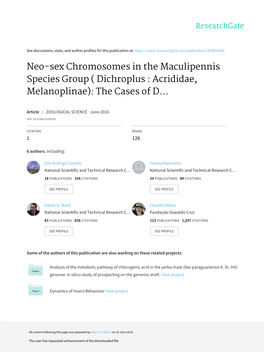 Neo-Sex Chromosomes in the Maculipennis Species Group ( Dichroplus : Acrididae, Melanoplinae): the Cases of D