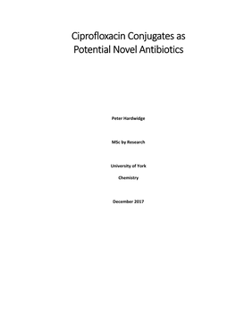 Ciprofloxacin Conjugates As Potential Novel Antibiotics