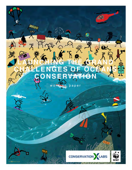 Launching the Grand Challenges of Oceans Conservation