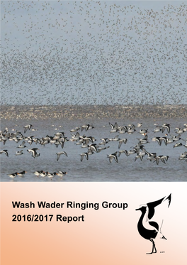 Wash Wader Ringing Group 2016/2017 Report