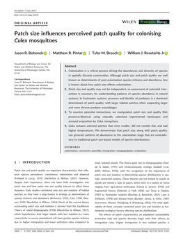 Patch Size Influences Perceived Patch Quality for Colonising Culex Mosquitoes