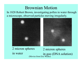 Brownian Motion in 1828 Robert Brown, Investigating Pollen in Water Through a Microscope, Observed Particles Moving Irregularly