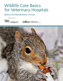 Wildlife Care Basics for Veterinary Hospitals Before the Rehabilitator Arrives a Word About Author The