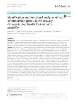 Identification and Functional Analyses of Sex Determination Genes in the Sexually Dimorphic Stag Beetle Cyclommatus Metallifer