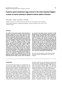 Posterior Apical Ectodermal Ridge Removal in the Chick Wing Bud Triggers a Series of Events Resulting in Defective Anterior Pattern Formation