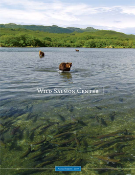 WSC Annualreport 2010.Pdf