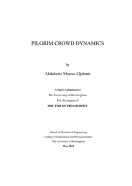 Pilgrim Crowd Dynamics