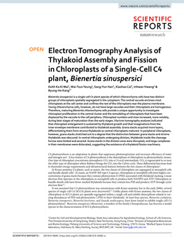 Electron Tomography Analysis of Thylakoid Assembly and Fission In