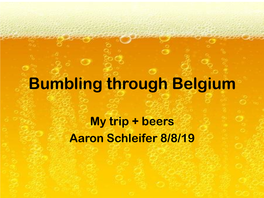 Bumbling Through Belgium