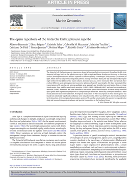 The Opsin Repertoire of the Antarctic Krill Euphausia Superba