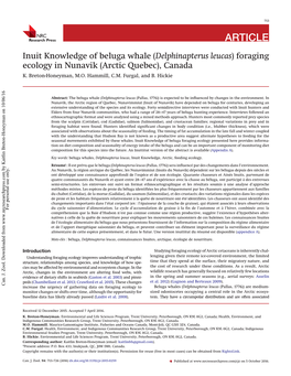 Inuit Knowledge of Beluga Whale (Delphinapterus Leucas) Foraging Ecology in Nunavik (Arctic Quebec), Canada K