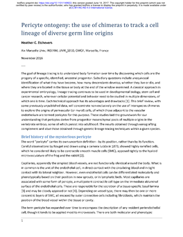 Pericyte Ontogeny: the Use of Chimeras to Track a Cell Lineage of Diverse Germ Line Origins